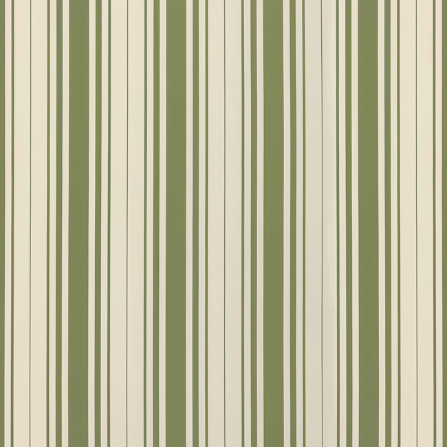 baldwin stripe wp - fern