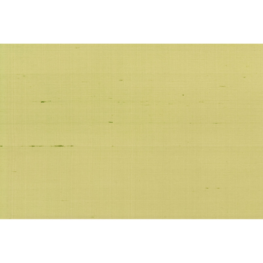 Brunschwig & Fils - Seijun - Celery - P8015147.23.0