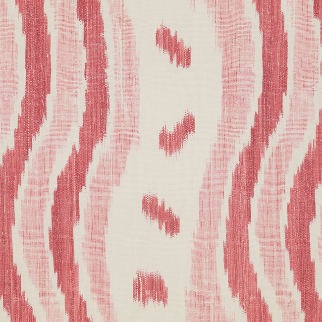 ikat stripe wp - coral