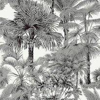 t10102 | palm botanical, tropics thibaut wallpaper