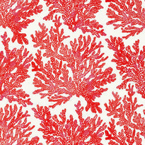 t10120 | marine coral, tropics thibaut wallpaper