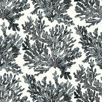 t10123 | marine coral, tropics thibaut wallpaper