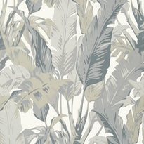 t10129 | travelers palm, tropics thibaut wallpaper