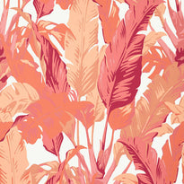 t10130 | travelers palm, tropics thibaut wallpaper