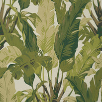 t10131 | travelers palm, tropics thibaut wallpaper