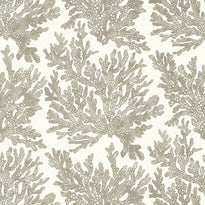 t10140 | marine coral, tropics thibaut wallpaper