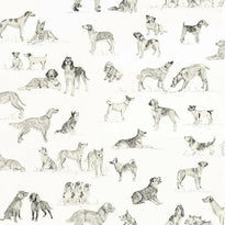 T1038 | Best Friend, Menswear Resource Thibaut Wallpaper