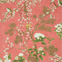 t13624 | katsura, grand palace - thibaut wallpaper