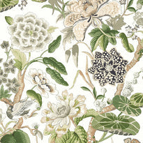 t13656 | hill garden, grand palace - thibaut wallpaper