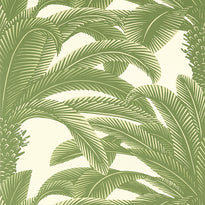 t13911 | queen palm, palm grove - thibaut wallpaper