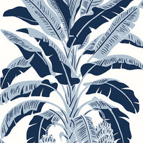 t13915 | banana tree, palm grove - thibaut wallpaper