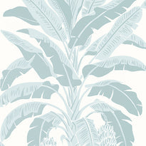 t13916 | banana tree, palm grove - thibaut wallpaper