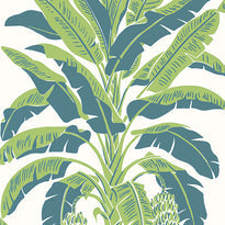 t13918 | banana tree, palm grove - thibaut wallpaper