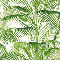 t13938 | delray, palm grove - thibaut wallpaper