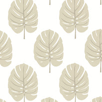 t13956 | monstera, palm grove - thibaut wallpaper