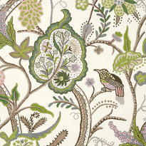 T14306 | Windsor, Canopy Thibaut Wallpaper