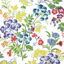 t14341 | spring garden, canopy thibaut wallpaper