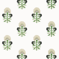 t16214 | tybee bud, kismet - thibaut wallpaper