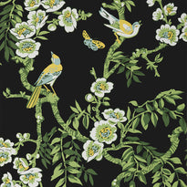 t20845 | yukio, eden black - thibaut wallpaper