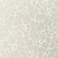 t4017 | amato, surface resource thibaut wallpaper