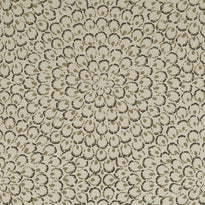 t4035 | aster, surface resource thibaut wallpaper