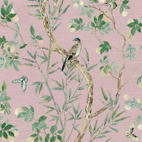 t42011 | claire, lavender - thibaut wallpaper