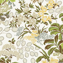 t42035 | meadow, green - thibaut wallpaper