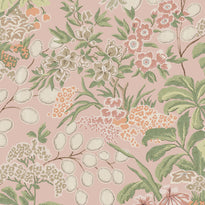 t42036 | meadow, blush - thibaut wallpaper