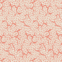 t42043 | maldives, coral - thibaut wallpaper