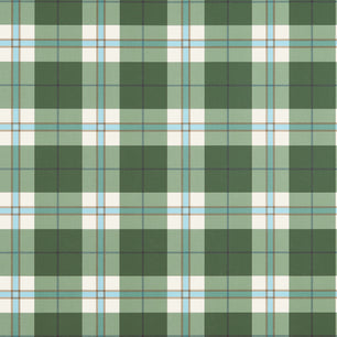 DOUGLAS PLAID - Green - Thibaut - T44071 - STRIPES & CHECKS RESOURCE