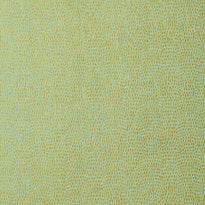 t57156 | chameleon, texture resource 5 thibaut wallpaper