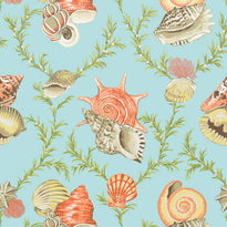 t5746 | sumba shell, biscayne thibaut wallpaper