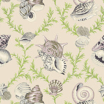 t5748 | sumba shell, biscayne thibaut wallpaper