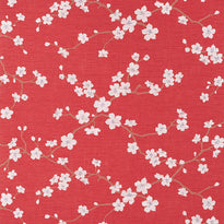 t75513 | sakura, dynasty thibaut wallpaper