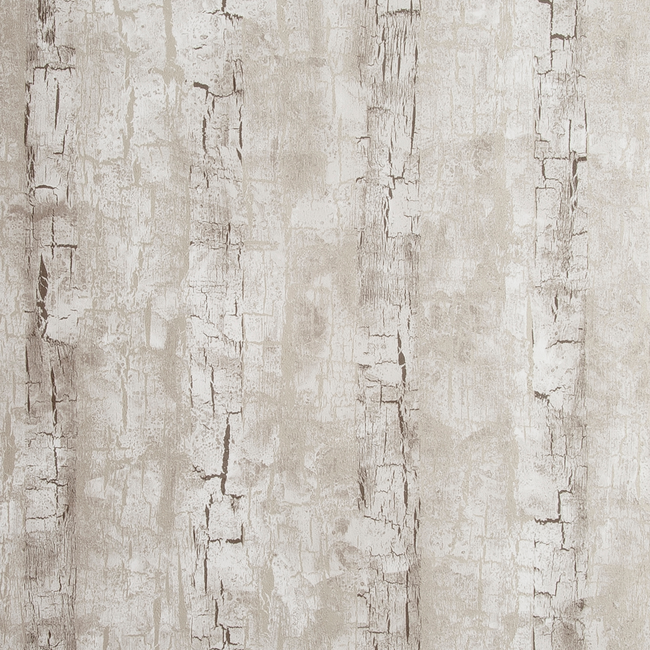 clarke & clarke - tree bark - birch - w0062/02.cac.0