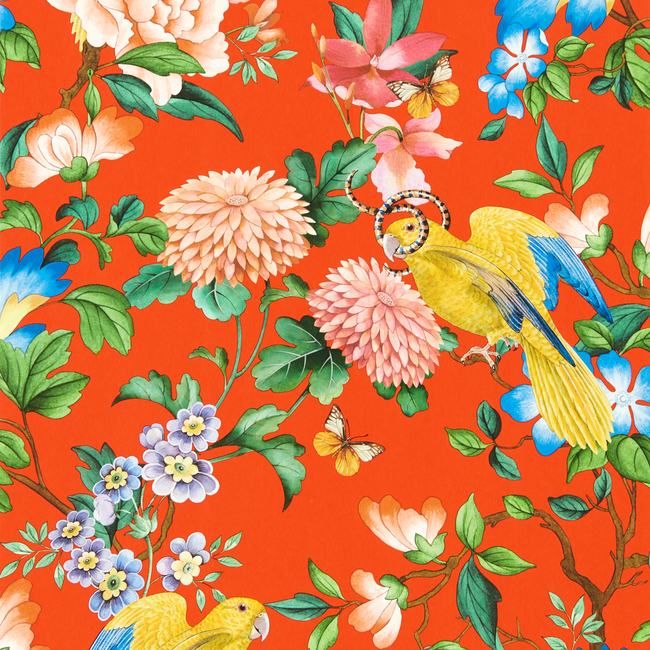 clarke & clarke - golden parrot wallpaper - coral - w0130/01.cac.0