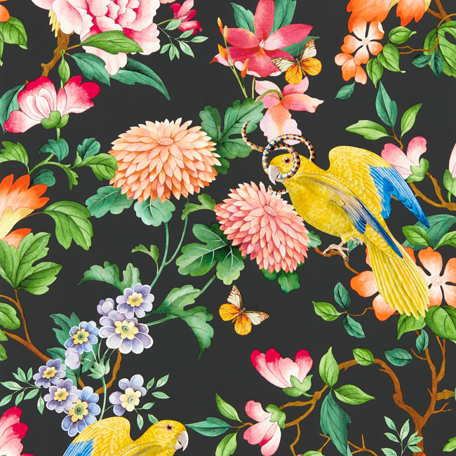 clarke & clarke - golden parrot wallpaper - noir - w0130/04.cac.0