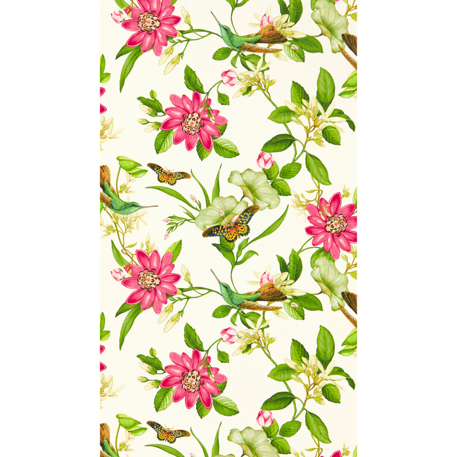 clarke & clarke - pink lotus wallpaper - ivory - w0132/02.cac.0