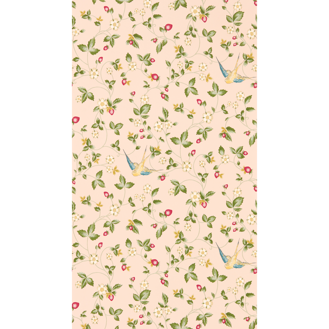 clarke & clarke - wild strawberry wallpaper - blush - w0135/01.cac.0