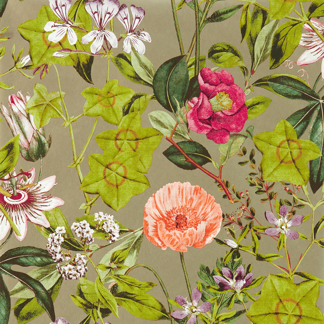 clarke & clarke - passiflora - mulberry/gilver wallpaper - w0143/03.cac.0