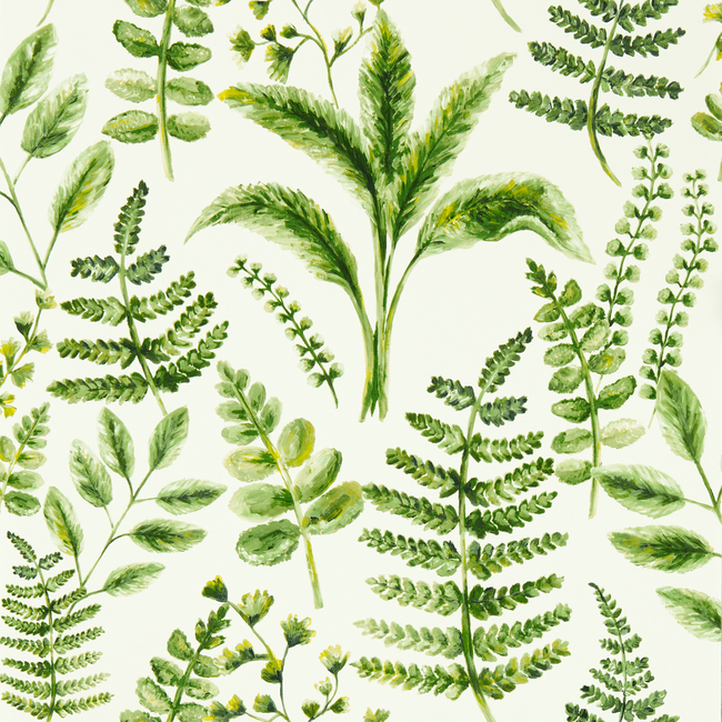 clarke & clarke - bracken - forest wallpaper - w0156/02.cac.0