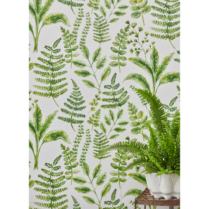 Clarke & Clarke - Bracken - Forest wallpaper - W0156/02.CAC.0