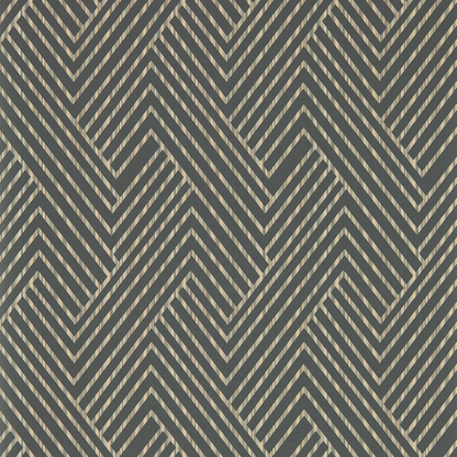 Clarke & Clarke - Grassetto - Charcoal wallpaper - W0181/01.CAC.0