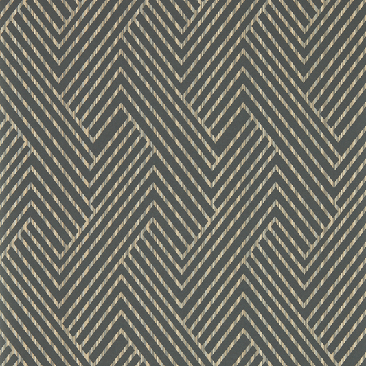 Clarke & Clarke - Grassetto - Charcoal wallpaper - W0181/01.CAC.0