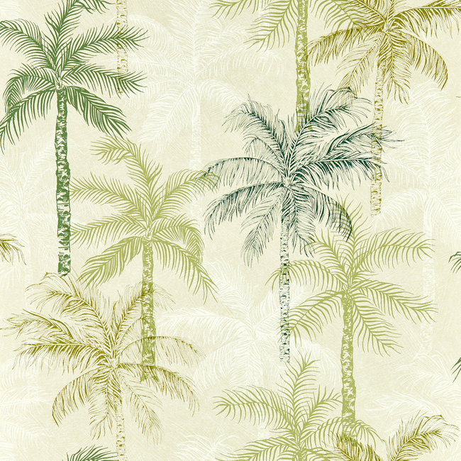 clarke & clarke - palmyra - palm wallpaper - w0189/04.cac.0