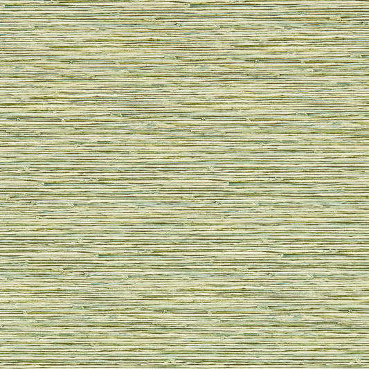 Clarke & Clarke - Xan - Palm wallpaper - W0192/04.CAC.0