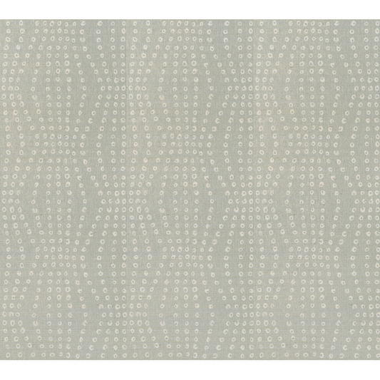 Kravet Couture - Puka - Mist - W3572.11.0