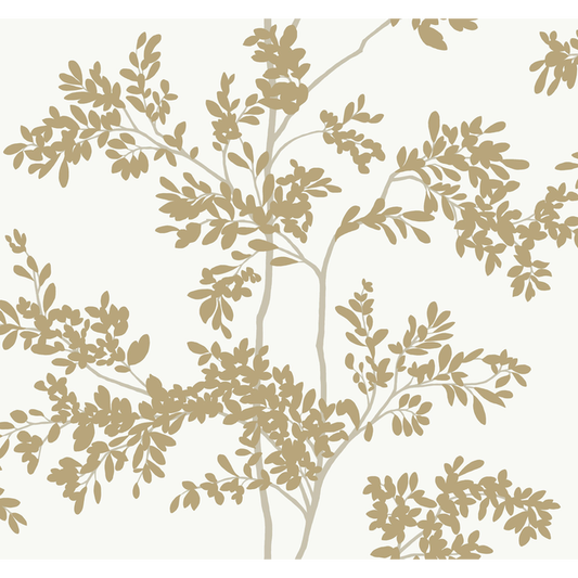 Kravet Design - Kravet Design - W4141-4