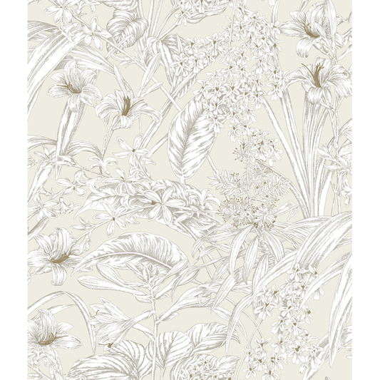 Kravet Design - Kravet Design - W4248-1