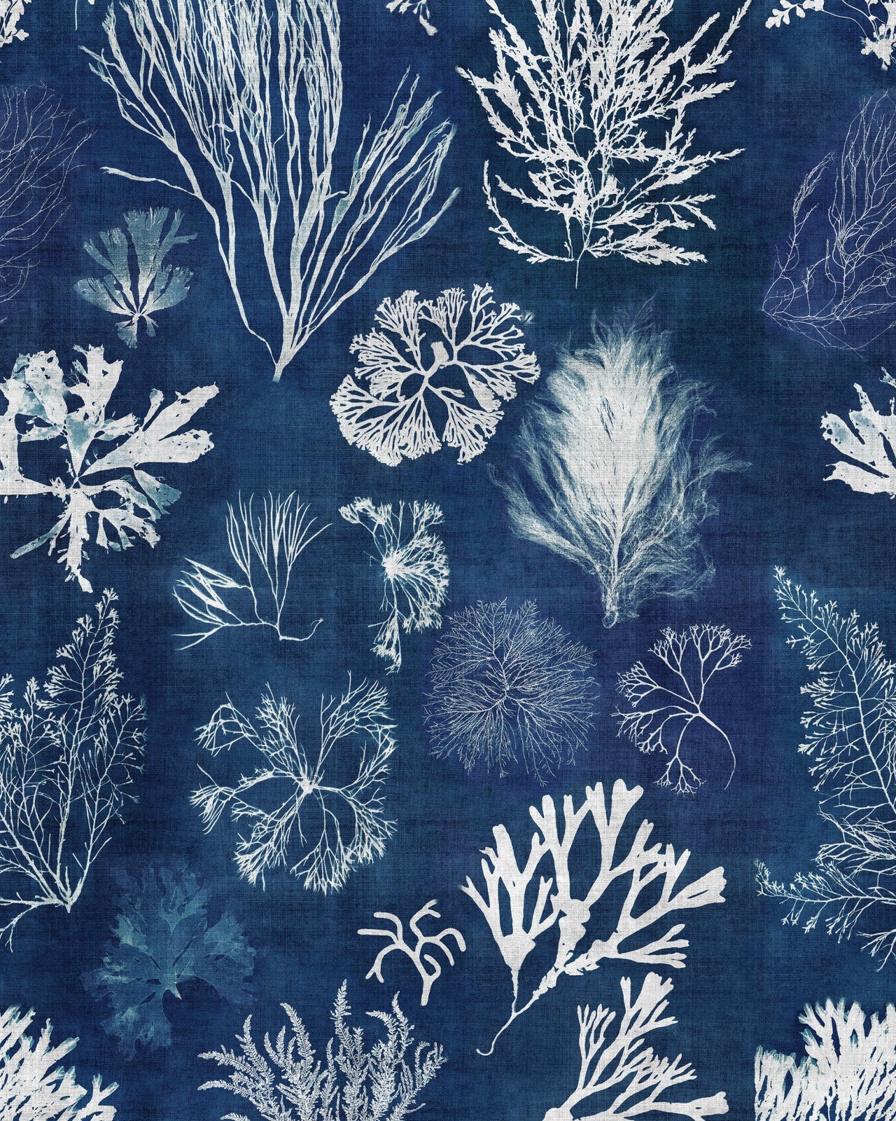 algae navy blue wallpaper